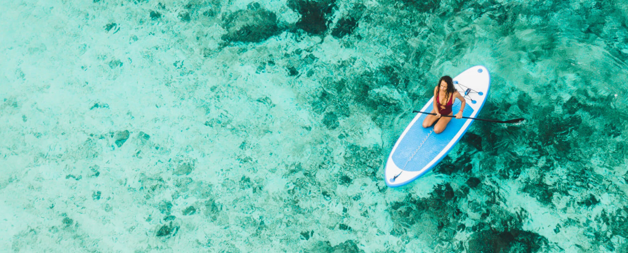 Surf Équipement Boutique -Surf Équipement Boutique dgdfgh